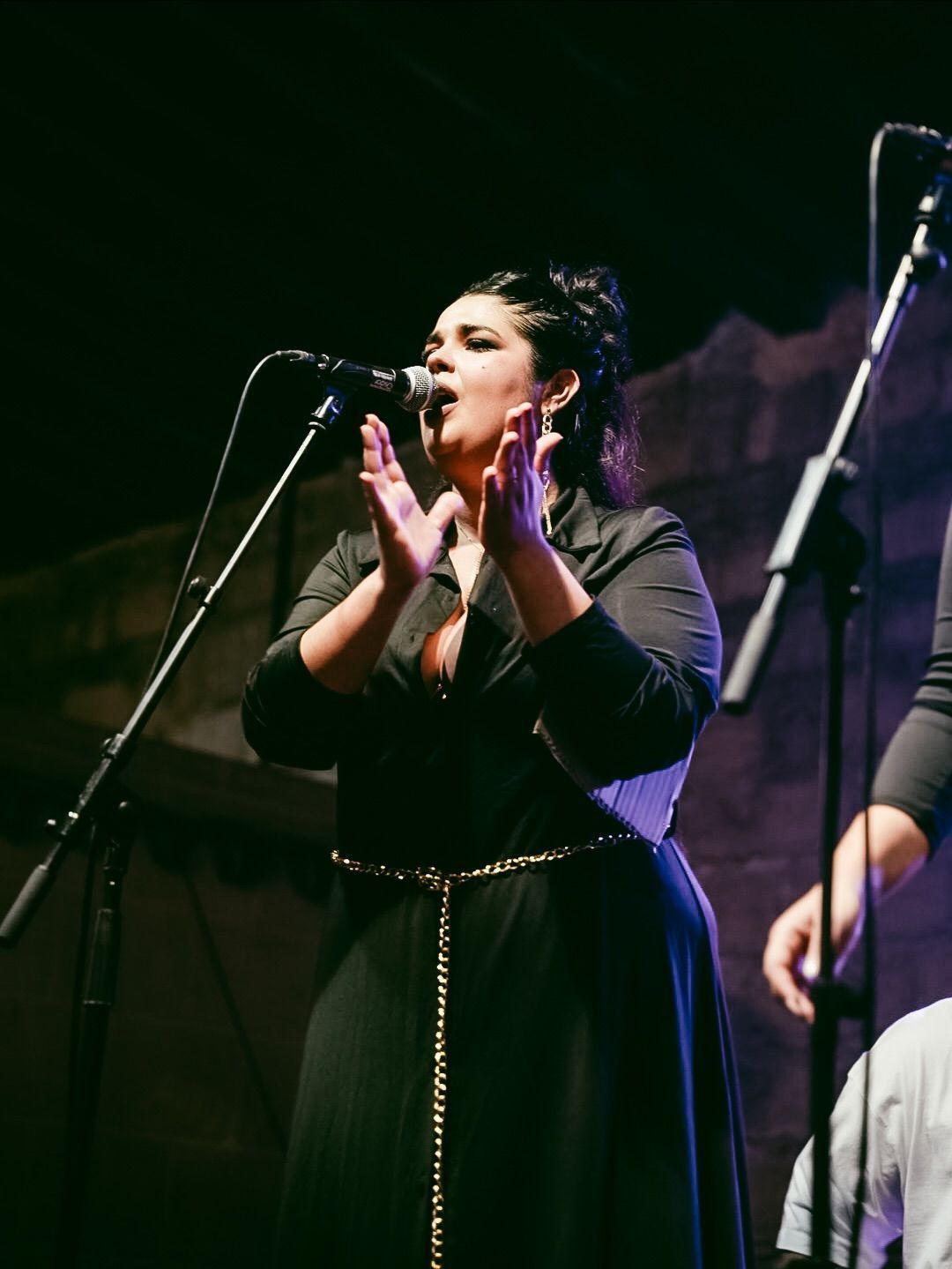 Festival 3