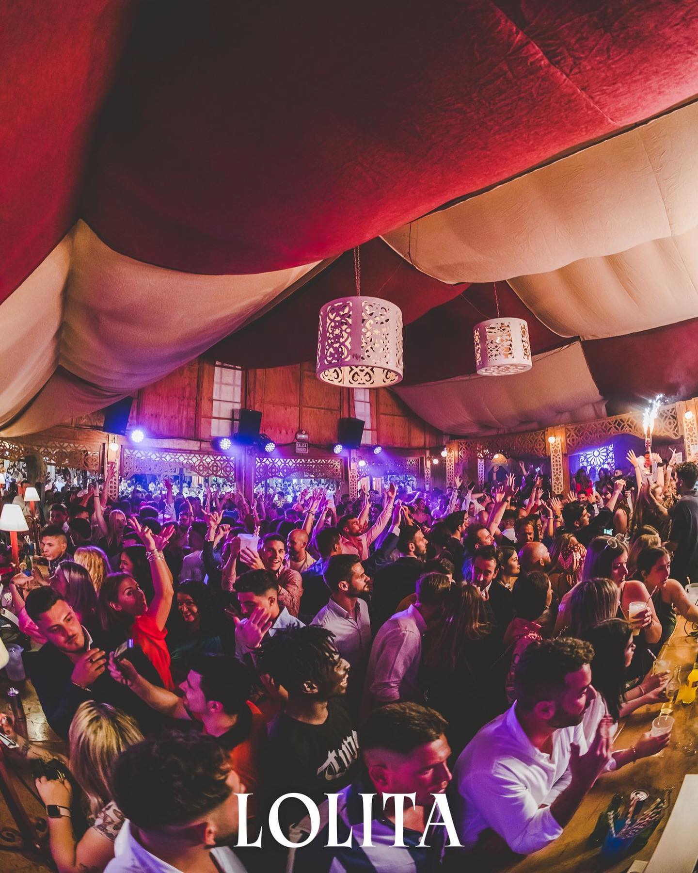 Festival 10